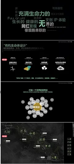 2023乐山犍为世博大道两侧景观绿化方案文本道路公园景观设计文本