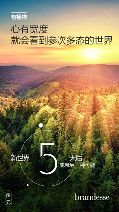 末子野生设计师采集到文案