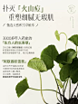 积雪草熬夜水乳套装护肤品补水保湿控油提亮女正品官方旗舰店-tmall.com天猫