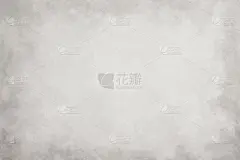 白色和灰色的单色纹理。