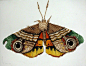 日本艺术家Yumi Okita利用布，丝织品等材料制作的逼真的飞蛾与蝴蝶  |  www.etsy.com/shop/YumiOkita ​​​​