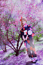 #南小鸟棉花糖和服#晚樱物语 | 半次元-ACG同人创作&同好社群