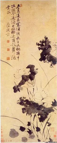 青藤居士徐渭绘画作品欣赏0010作品欣赏