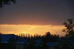 呐谁shei采集到宁夏景点拍摄