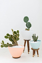 DIY mid century planters | sugar & cloth: 