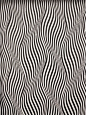 Edna Andrade American 1917- "Color Motion 4-64" Oil on Canvas (Detail)  Victor Vasarely French  1906-1997 "Vega" Acrylic on canvas (Detail) ...
