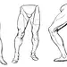 tb-choi-leg-drawing-1