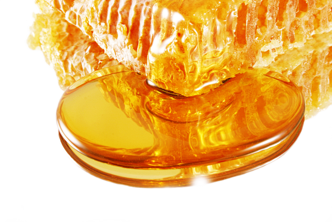 澳洲蜂蜜素材