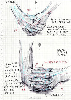 Gao13采集到手