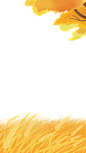 芒种节气祝福插画手机海报