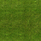 Grass Texture | SEAMLESS GRASS TEXTURE: 