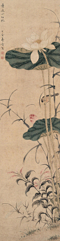 天工净雅：国画大师陈之佛工笔花鸟画精选【组图】 - 石庆 - 石庆的博客