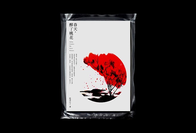 设计师汪文祥书籍装帧设计作品欣赏