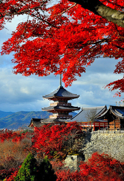 京都府位于日本本州岛的中部，近畿地区中央...