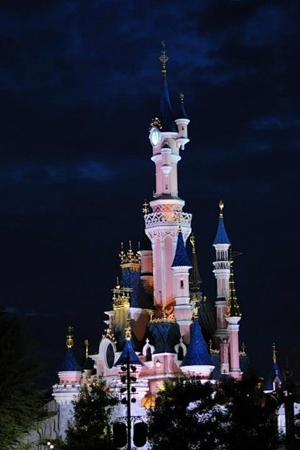 Disneyland Paris cas...