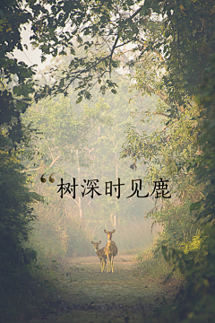 少年手中的花儿采集到心语