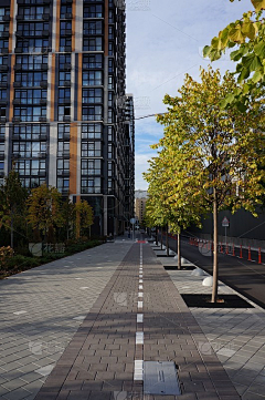 云之凡采集到市政道路