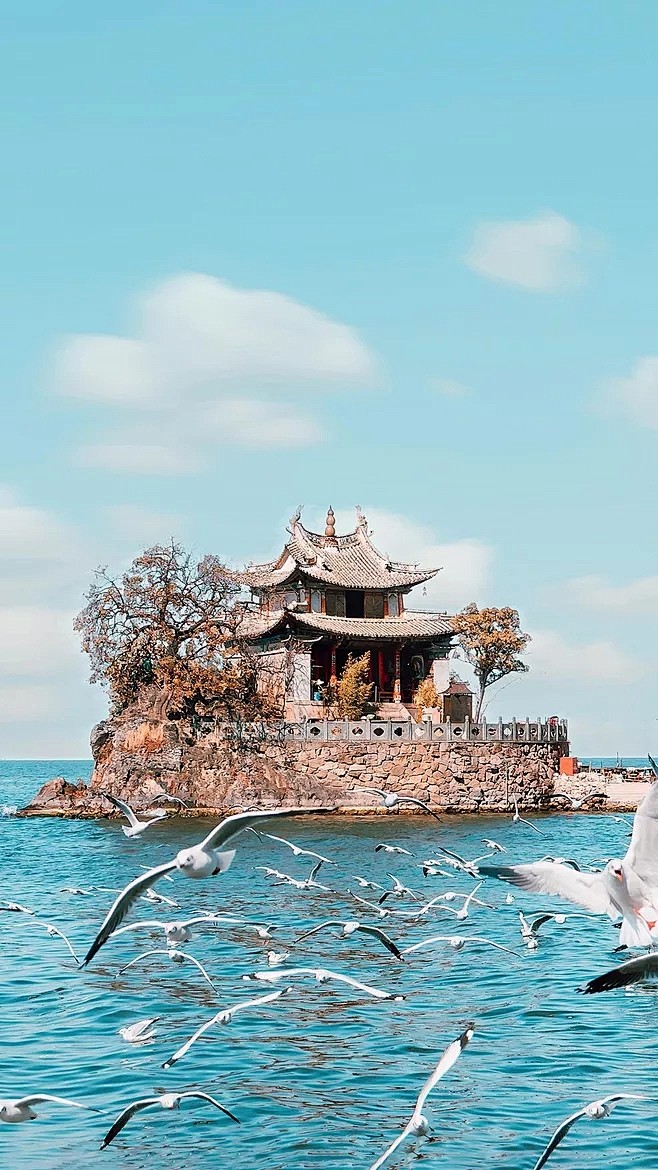 #云南风景#