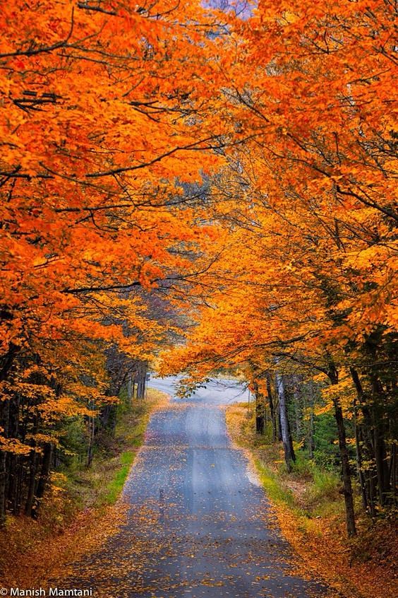 Fall: 