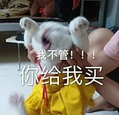 给我买表情包_百度图片搜索