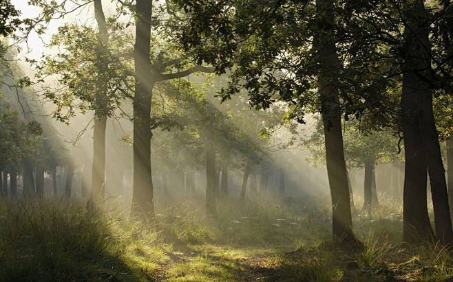 Germany landscapes l...