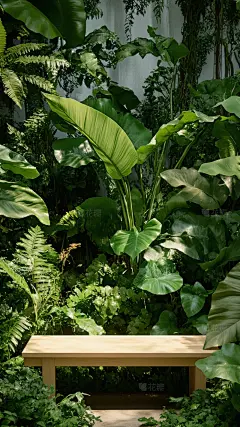 植物系列实景自然感绿植展台背景
