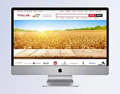 五谷杂粮麦子背景广告素材下载|五谷杂粮,干货,海报,水墨,杂粮,白酒广告背景,茶叶广告背景,小麦酒,五粮液,金黄,麦子,海报设计,海报Banner