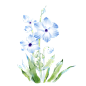 手绘水彩蓝色山牵牛花卉元素