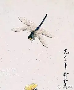 工笔大师俞致贞画草虫 - 书画相关 - 中国艺硕.com_艺术人才的专栏名片
