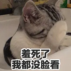 分享一波鲁班的表情包，大哥在颜艺表演方面还是很有天赋的。 ​​​​