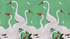 GUCCI壁纸-古驰室内壁纸-古驰GUCCI中国官方网站