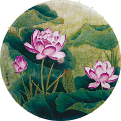 5找亲人采集到HUA 