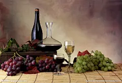 红酒 葡萄酒 red wine 酒庄 庄园 酿酒 红酒海报 红酒广告图片