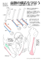 学习手臂画法画出肌肉发达的上半身插画 - 还有肩膀和肱二头肌 : “我想知道男性手臂画法的窍门！”，“不太清楚前臂的结构，画不出真实的肌肉”。这想必是很多人的烦恼吧？手臂依靠尺骨、肩胛骨等各种各样的骨骼和大量的肌肉才得以完成复杂的动作。手臂的图解乍看之下似乎很难，但是在画插画时只要掌握了主要的骨骼和肌肉的画法，就可以轻松画出来了哦。作为人物姿势重点的手臂肌肉，在画肌肉发达的强大男性角色时非常重要。除此之外，只要能画出从腋下到手腕处肌肉隐约可见的女性手臂上的肌肉，就可以表现出一个健康又性感的女性形象了。大家