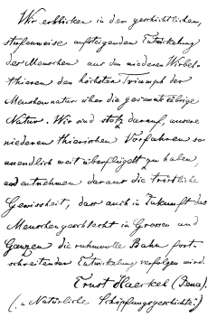 多鱼西采集到字体排版素材