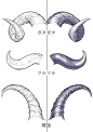 動物にもモンスターにも使える！ツノの描き方｜イラストの描き方 ツノの質感 How to Draw Horns for Animals and Monsters | Illustration Tutorial