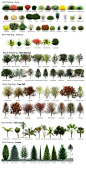 plants for landscaping