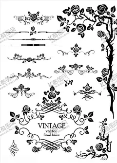矢量花朵藤蔓 【酷图网】矢量,手绘,卡通,花朵,藤蔓,花,叶子,手绘花边,插画,花儿,手绘花纹,时尚花纹,现代,创意花边,欧式图案,装饰图案,花纹,花边,欧式图标,古典花纹,精美花纹,图案