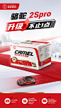 骆驼蓄电池-2S pro系列产品海报