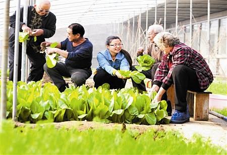 养老院里乐享农趣 老人参与种植感受田园农...