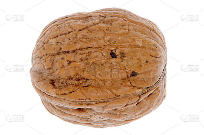 简单wallnut
