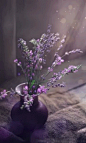 花瓶 紫色小花 梦幻粒子