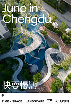 集相采集到分析图
