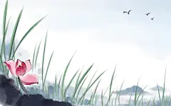 水墨荷花插画展板