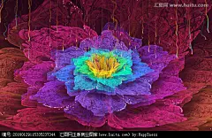 花朵抽象花朵鲜花花朵墙贴幻彩炫彩花朵浪漫花朵花朵装饰画花朵背景墙梦幻花朵花朵壁纸墙纸唯美花朵盛开绽放漂亮美丽花朵花纹图案花卉背景纹理分形花