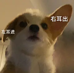 表情包