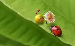 3D 动物世界