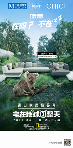 10号sheep采集到节日海报