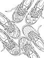 Welcome to Dover Publications Sneaker Designs Coloring Book