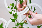 Top 10 indoor gardens to fulfill your modern gardening goals - Yanko Design : Gardening is an extremely therapeutic activity, and though I may not engage in it all the time, the few times that I have, I found it really delightful and soothing. Growing, te